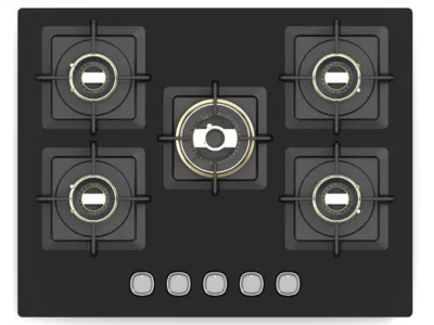 Multifunctional Gas Stove Factory Crafted for Versatility